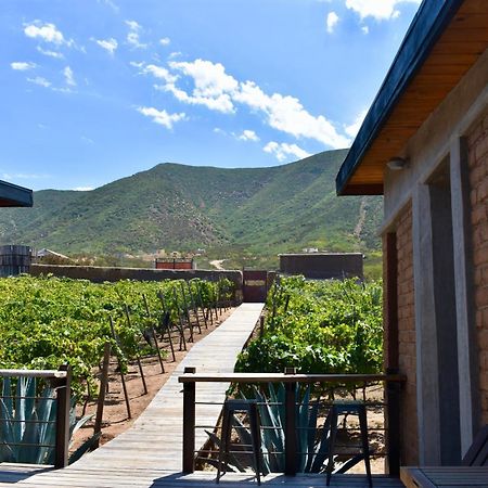 Uvauva Eco-Retreat Bed & Breakfast Valle de Guadalupe Exterior photo