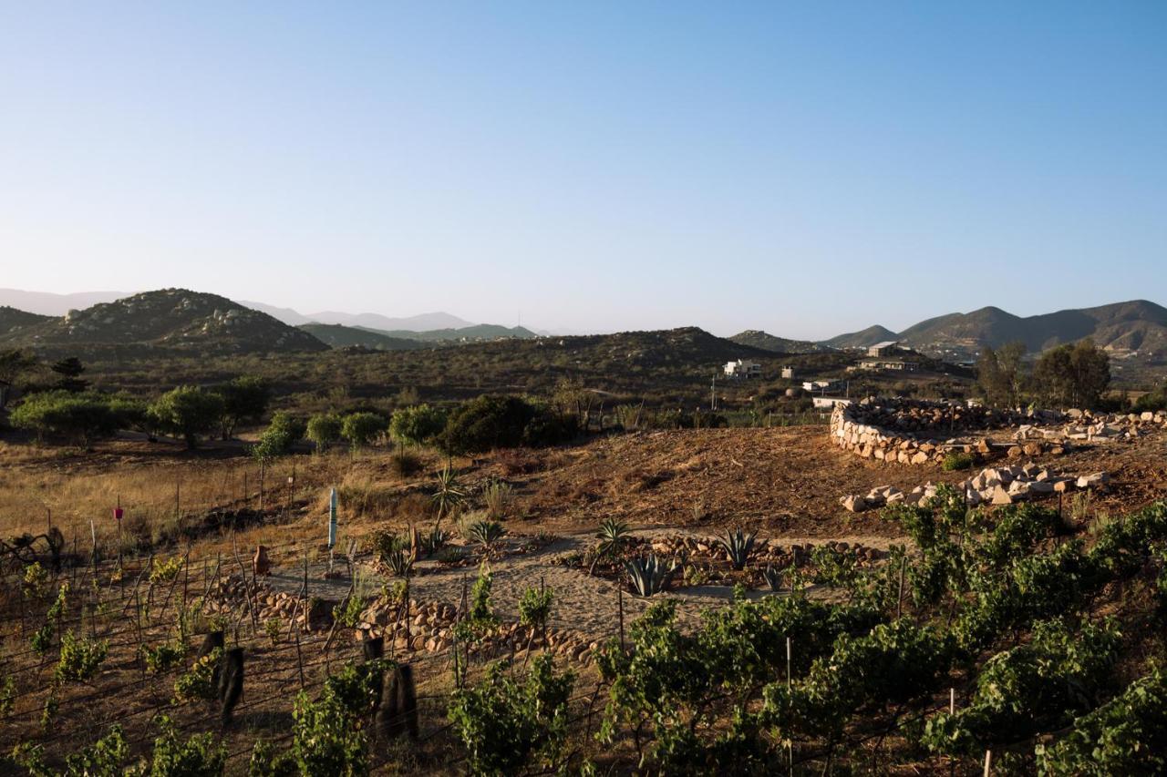 Uvauva Eco-Retreat Bed & Breakfast Valle de Guadalupe Exterior photo