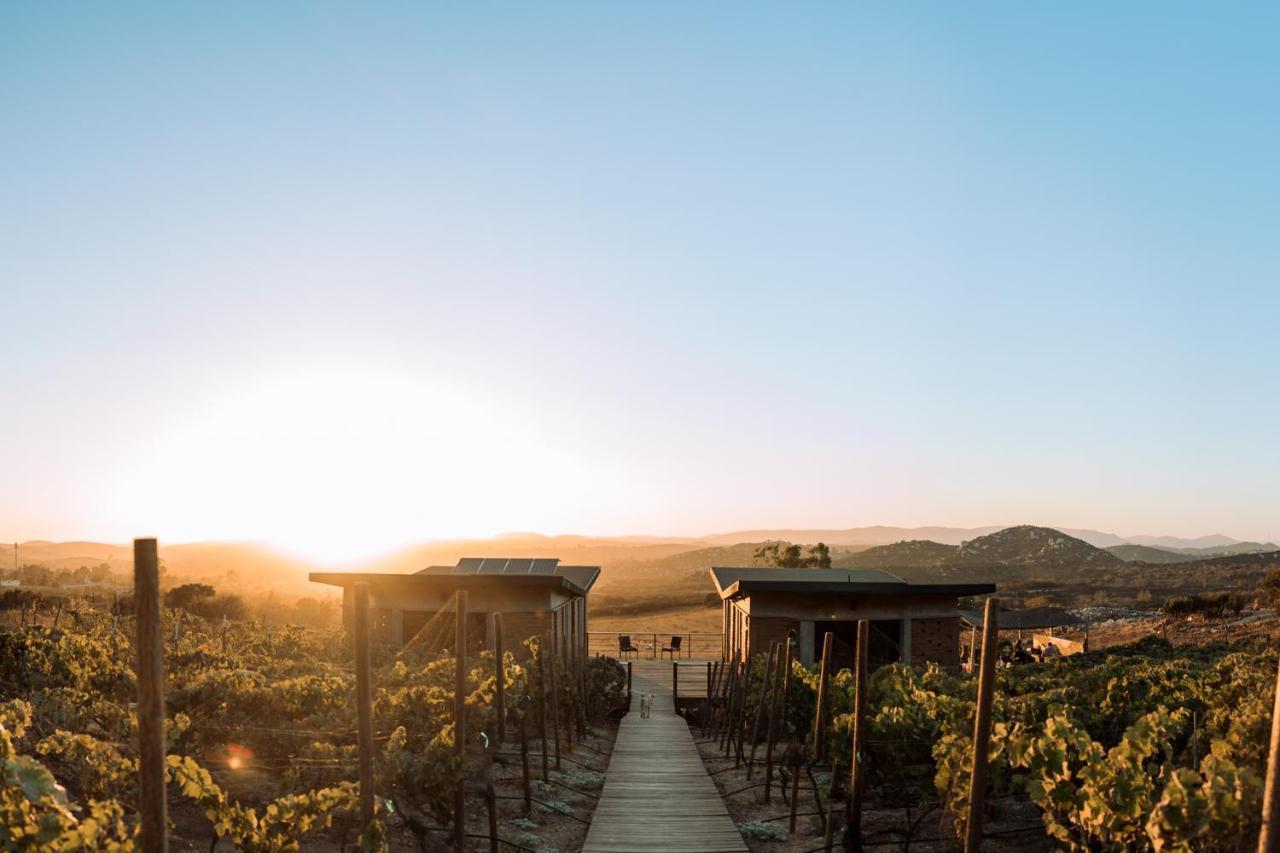 Uvauva Eco-Retreat Bed & Breakfast Valle de Guadalupe Exterior photo